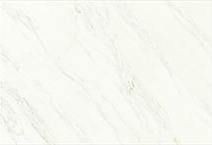 Silver Wood